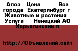 Алоэ › Цена ­ 150 - Все города, Екатеринбург г. Животные и растения » Услуги   . Ненецкий АО,Харьягинский п.